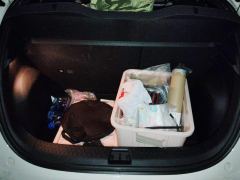 BYD Dolphin 420km Stylish Edition - ფოტო 7