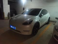 Tesla Model Y 615km Performance High-Performance AWD Version - ფოტო 1