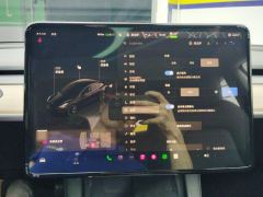 Tesla Model 3 556km Rear-Wheel Drive Edition - photo 20