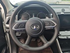 Great Wall Cannon Edition 2.0T 2WD Version - ფოტო 18