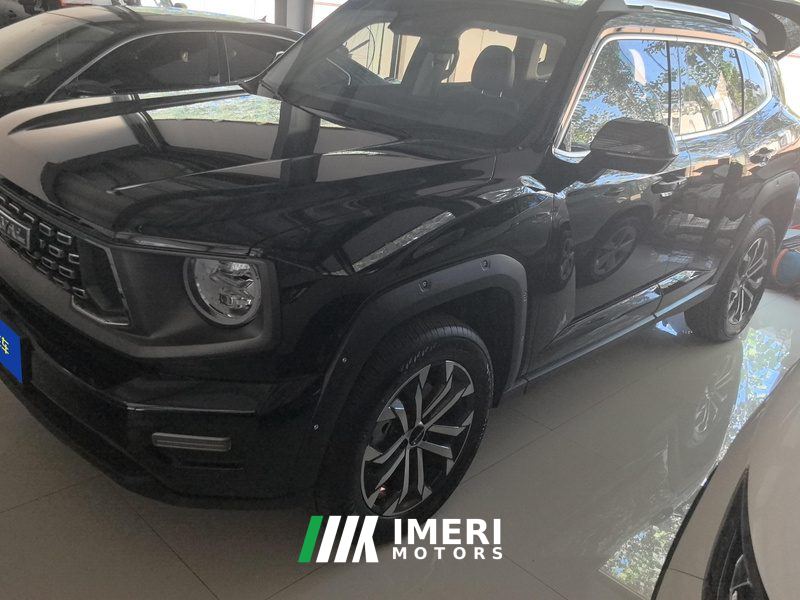 Haval Dargo PLUS 2.0T AWD EditionPlus - car from China