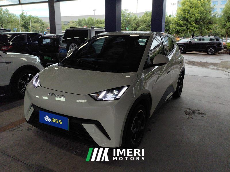 BYD Seagull 305km Free Version - ავტომობილი ჩინეთიდან