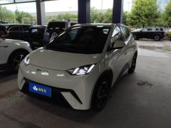 BYD Seagull 305km Free Version - ფოტო 1