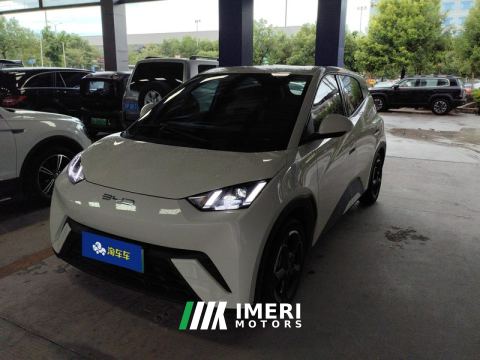 2023 BYD Seagull 305km Free Version - ავტომობილი ჩინეთიდან