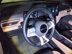 BYD Seagull 305km Free Version - ფოტო 16