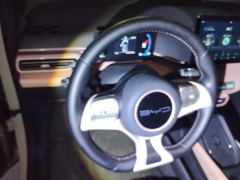 BYD Seagull 305km Free Version - ფოტო 18