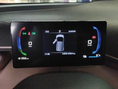 BYD Seagull 305km Free Version - ფოტო 20