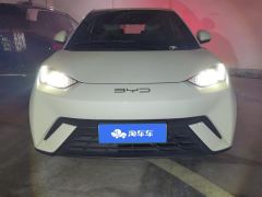 BYD Seagull 305km Free Version - ფოტო 3