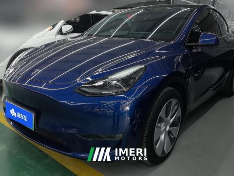 2021 Tesla Model Y Standard endurance rear-wheel drive - ავტომობილი ჩინეთიდან
