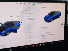Tesla Model Y Standard endurance rear-wheel drive - ფოტო 20