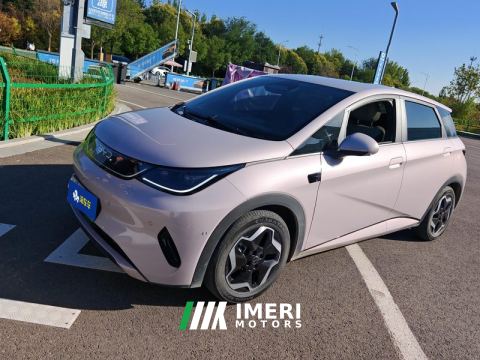2025 BYD Dolphin 420km Free Version - ავტომობილი ჩინეთიდან