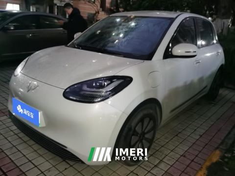 2023 Wuling Bingo Binguo 333km Joy Edition - car from China