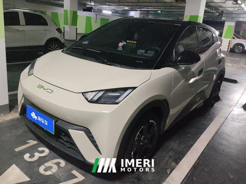 BYD Seagull 305km Free Version - автомобиль из Китая