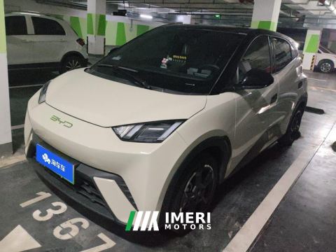 2023 BYD Seagull 305km Free Version - car from China