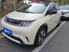 BYD Dolphin 420km Stylish Edition - photo 1