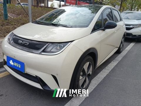 2023 BYD Dolphin 420km Stylish Edition - car from China