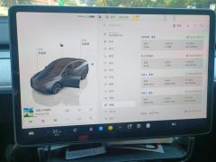 Tesla Model Y 554km Rear-Wheel Drive Edition - ფოტო 20