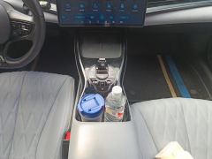 BYD Seal EV 550km Standard Range Version - фото 19