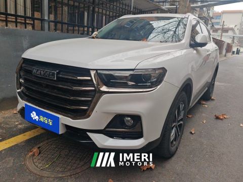 2021 Haval H6 Guochao Edition 1.5T 2WD Urban Edition - ავტომობილი ჩინეთიდან