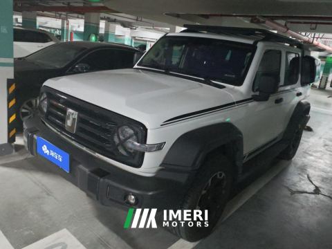 2024 Tank 300 2.0T Conqueror - ავტომობილი ჩინეთიდან