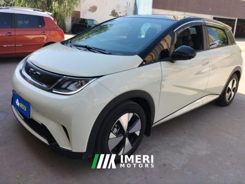 2023 BYD Dolphin 420km Free Version - ავტომობილი ჩინეთიდან