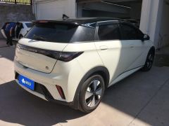 BYD Dolphin 420km Free Version - photo 2