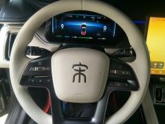 BYD Song L EV 550km Superior Rear Drive - photo 18