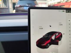 Tesla Model 3 713km Long Range AWD - ფოტო 19