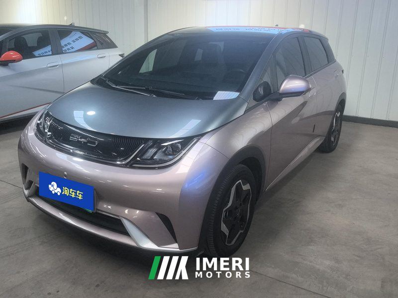 BYD Dolphin 405km Stylish Edition - ავტომობილი ჩინეთიდან