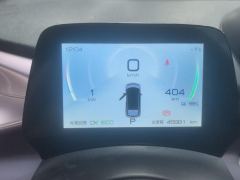 BYD Dolphin 405km Stylish Edition - ფოტო 20