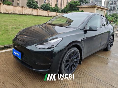 2021 Tesla Model Y Standard endurance rear-wheel drive - автомобиль из Китая