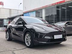 Tesla Model Y Rear-Wheel Drive - ფოტო 3