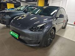 Tesla Model Y Standard Range RWD - photo 1