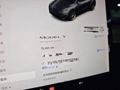 Tesla Model Y Standard Range RWD - photo 11
