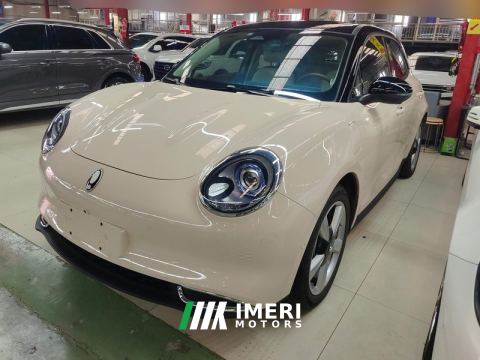 2021 Ora Great Wall Good Cat 501km Long Range Edition - car from China