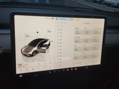 Tesla Model Y 545km Rear-Wheel Drive Edition - ფოტო 20