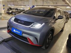 BYD Dolphin 405km Stylish Edition - ფოტო 1