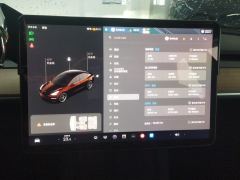 Tesla Model 3 Standard Range Edition 3D6 - ფოტო 20