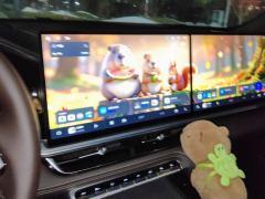 Geely Xingyue L Dongfang Yao 2.0T Automatic two-wheel drive Star Edition - photo 17