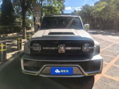 Tank 300 2.0T - photo 3