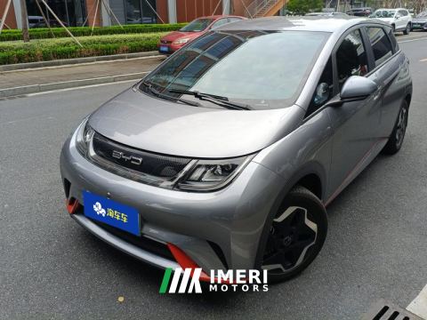 2021 BYD Dolphin 405km Free Version - car from China