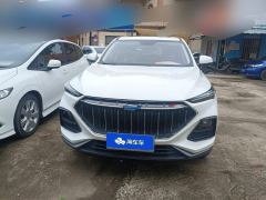 Oshan X5 1.5T Premium Version - ფოტო 3
