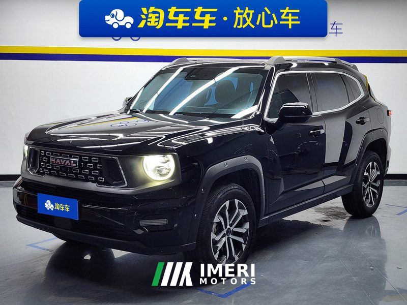 Haval Dargo Big Dog PLUS 2.0T 2WD Tide Wild Edition Plus - car from China