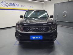 Haval Dargo Big Dog PLUS 2.0T 2WD Tide Wild Edition Plus - photo 3