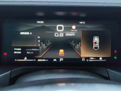 Tank 300 Urban Edition 2.0T Manual - ფოტო 20