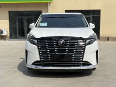 Buick GL8 ES Luxe Enjoyment Edition - photo 2