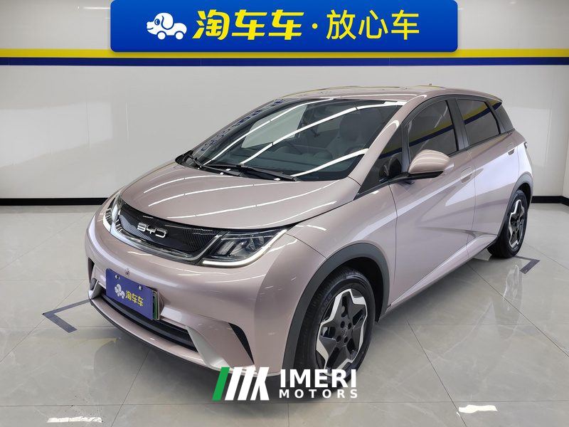 BYD Dolphin 405km Free Version - ავტომობილი ჩინეთიდან