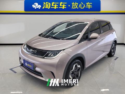 2021 BYD Dolphin 405km Free Version - ავტომობილი ჩინეთიდან