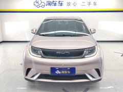 BYD Dolphin 405km Free Version - ფოტო 3