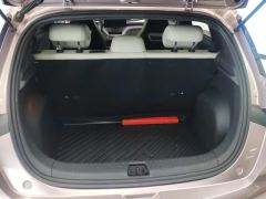 BYD Dolphin 405km Free Version - ფოტო 7